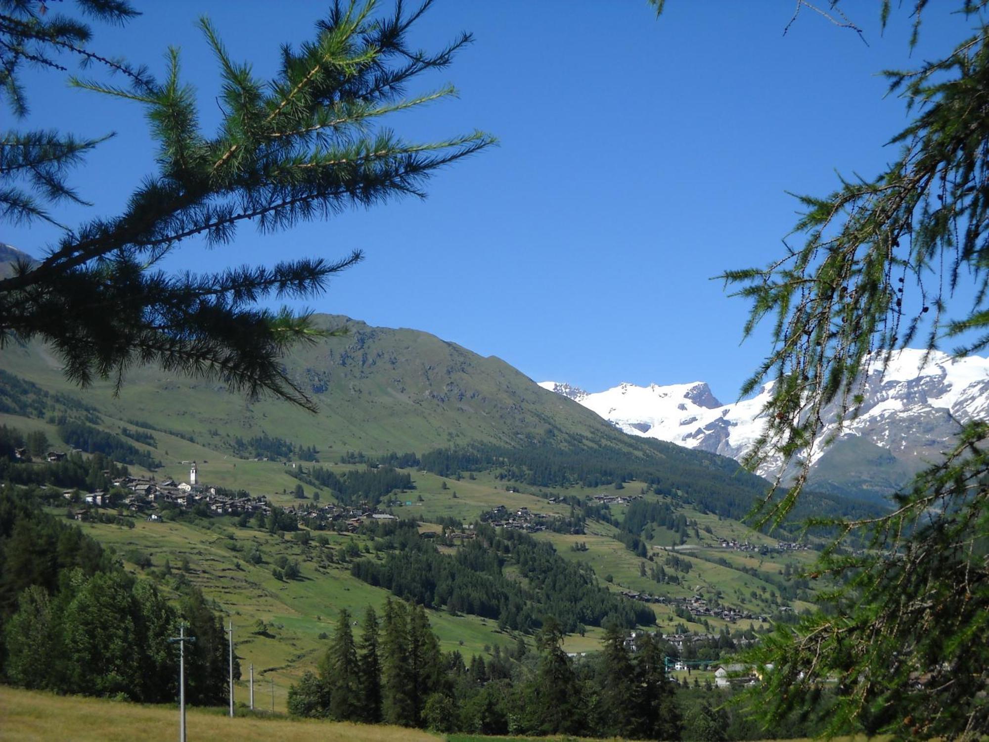 Residence Les Myosotis Champoluc Exterior photo