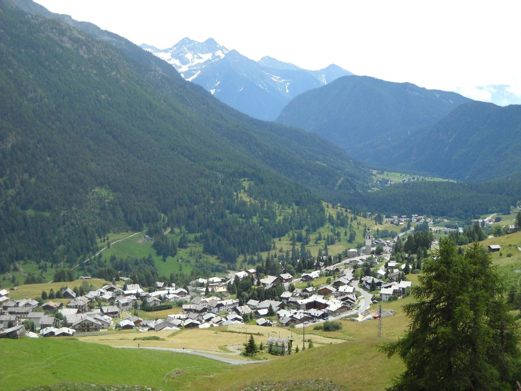 Residence Les Myosotis Champoluc Exterior photo